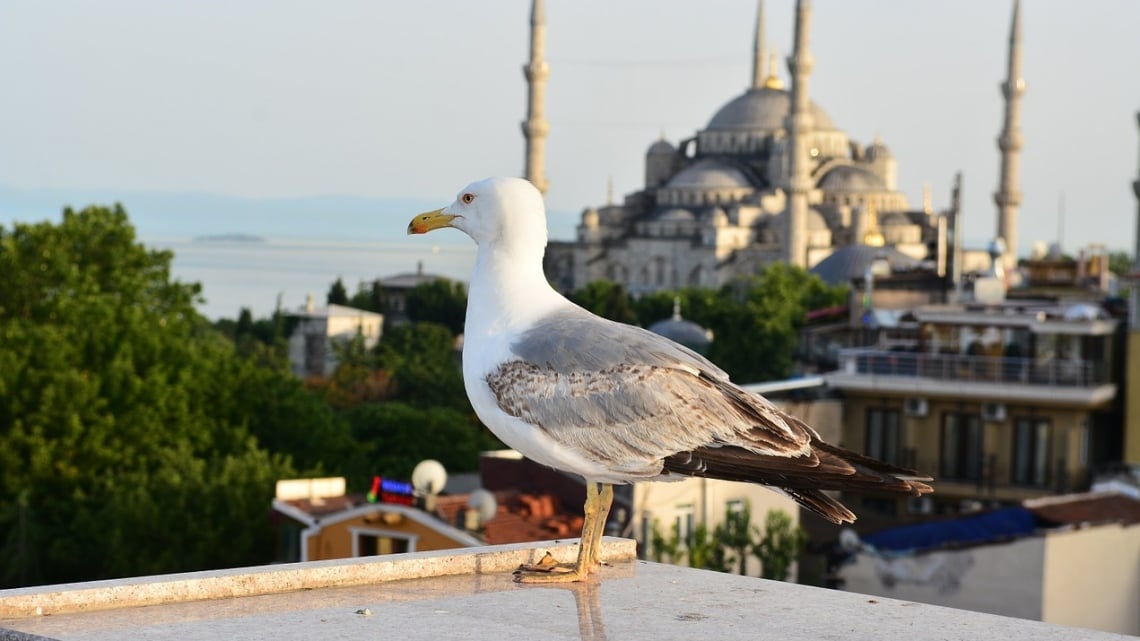 Нові грані Стамбула: від класики до модерну 