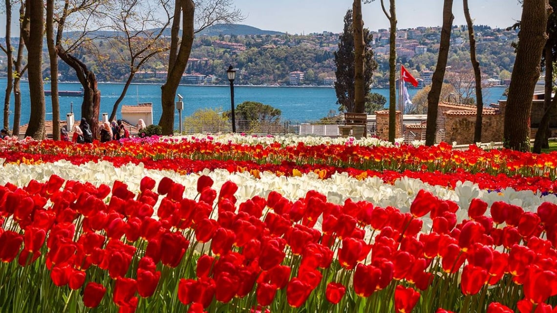 Нові грані Стамбулу. Фестиваль тюльпанів