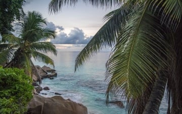 Сейшельські острови та Дубай: від пляжу до Бурджа
