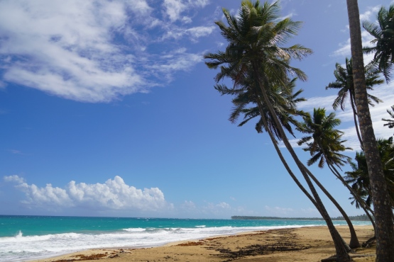 Пляжні перлини Домінікани: Пунта Кана, Баваро, Байаїбе, Ла Романа, Бока Чіка, Хуан Доліо