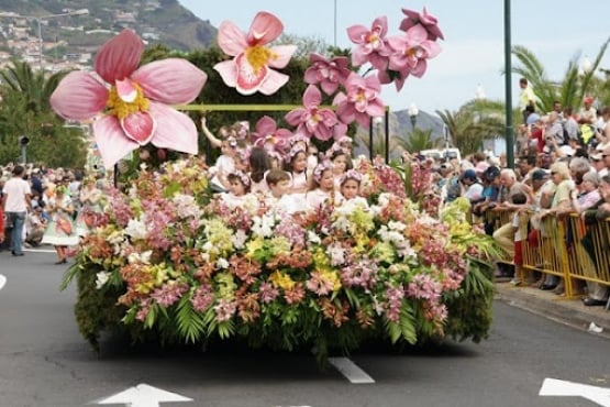 Фестиваль квітів і вина на Мадейрі - феєрія смаків, ароматів і краси