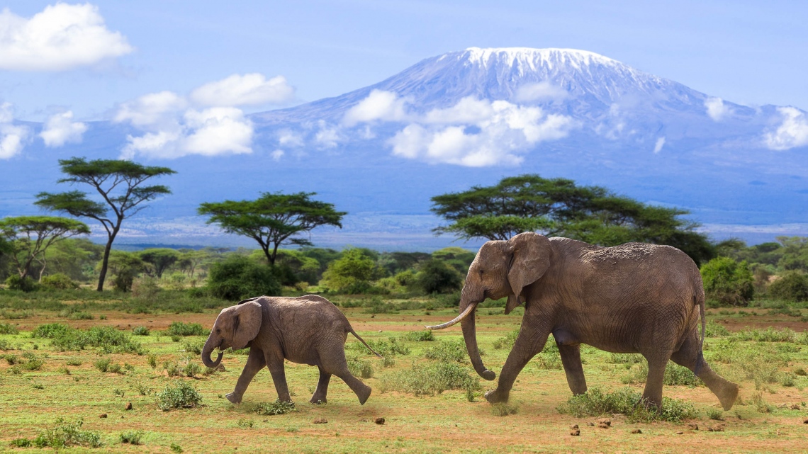 (2021 г.) «На вершине Африки». Групповой тур в Танзанию с Игорем Захаренко + восхождение на Килиманджаро