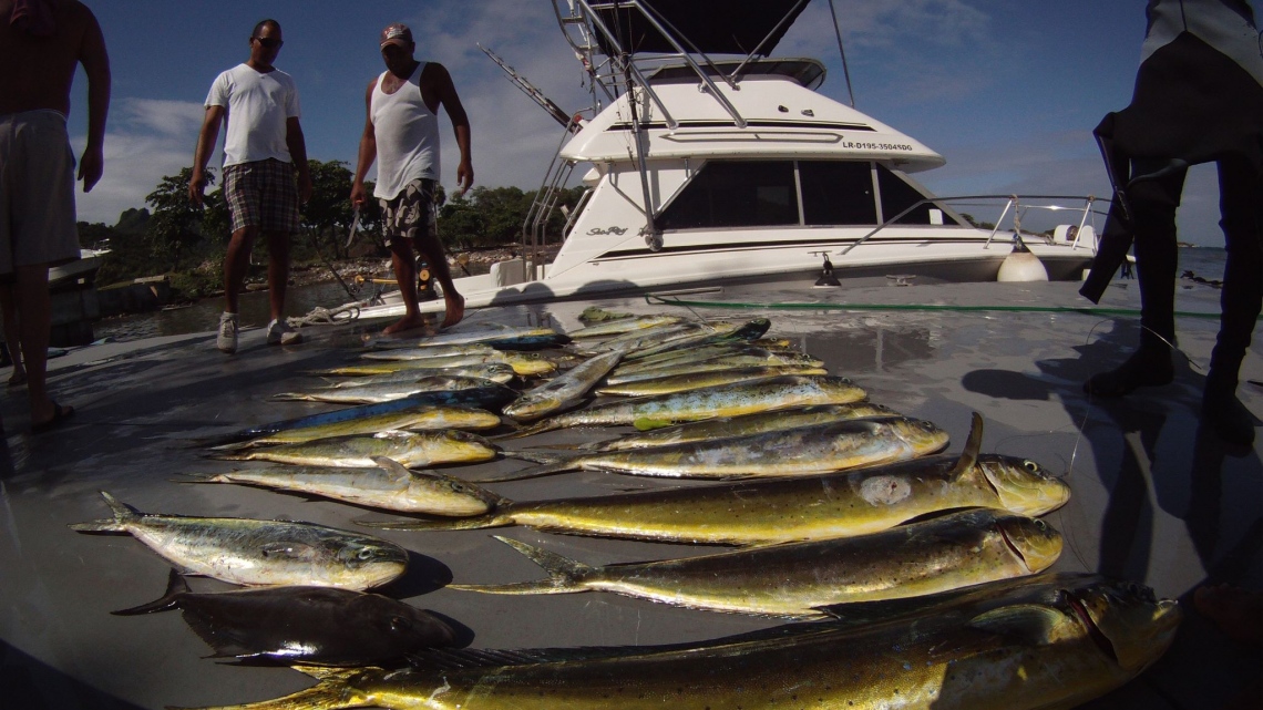 Рыбалка в Атлантическом океане : Доминиканская республика, групповой тур