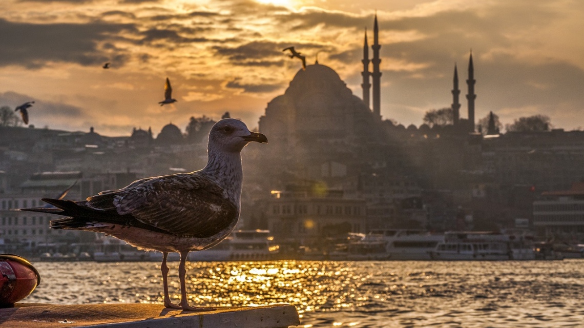 Новогодние каникулы в Стамбуле