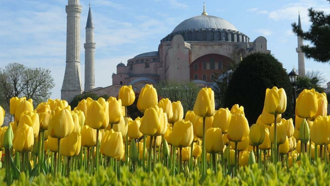 (2021 г.) Новые грани Стамбула. Фестиваль тюльпанов (5 дней)