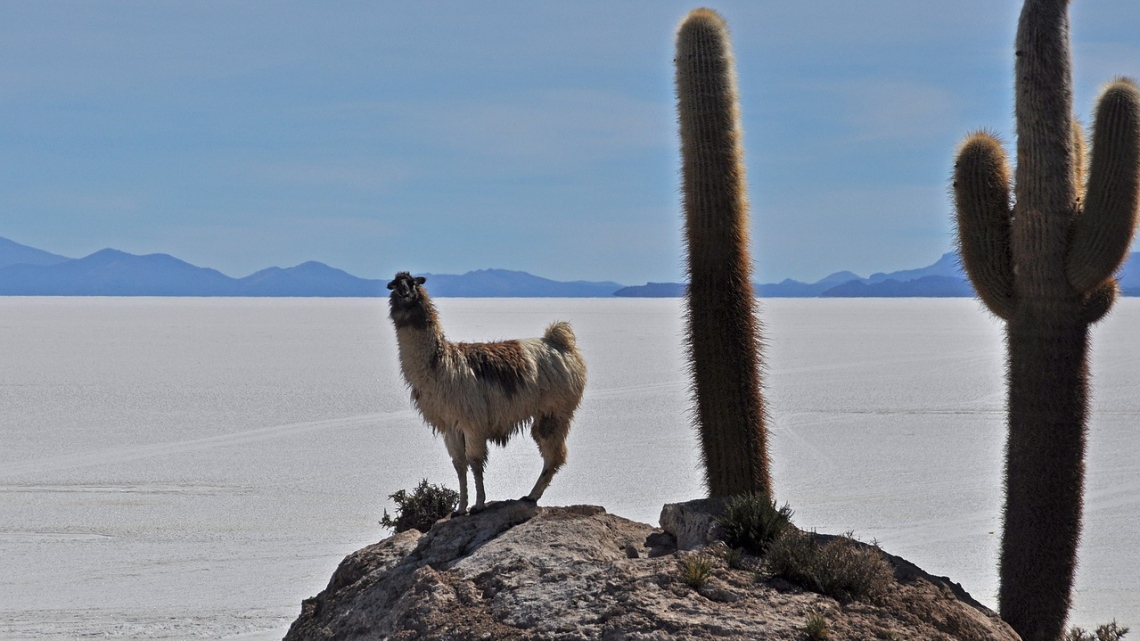 Загадочные места планеты: Перу - Боливия - Солончак Уюни. Авторский тур в сопровождении представителя Феерии