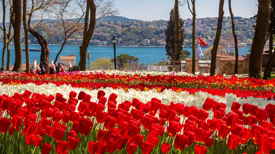(2021 р.) Нові грані Стамбулу. Фестиваль тюльпанів (4 дні)