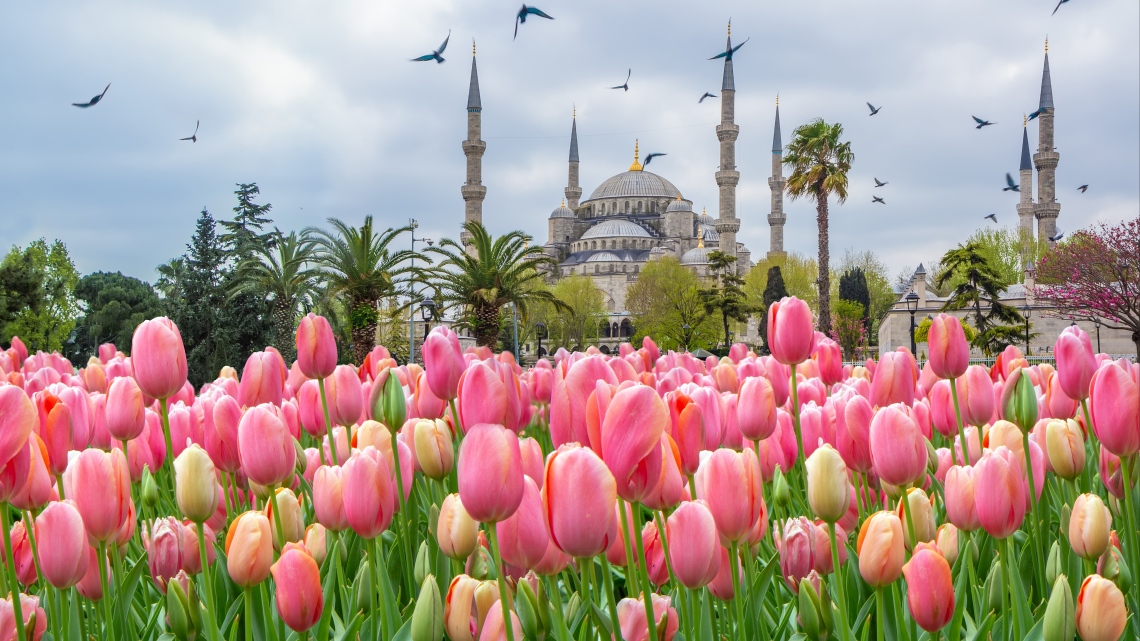 (2021 р.) Нові грані Стамбулу. Фестиваль тюльпанів (4 дні)