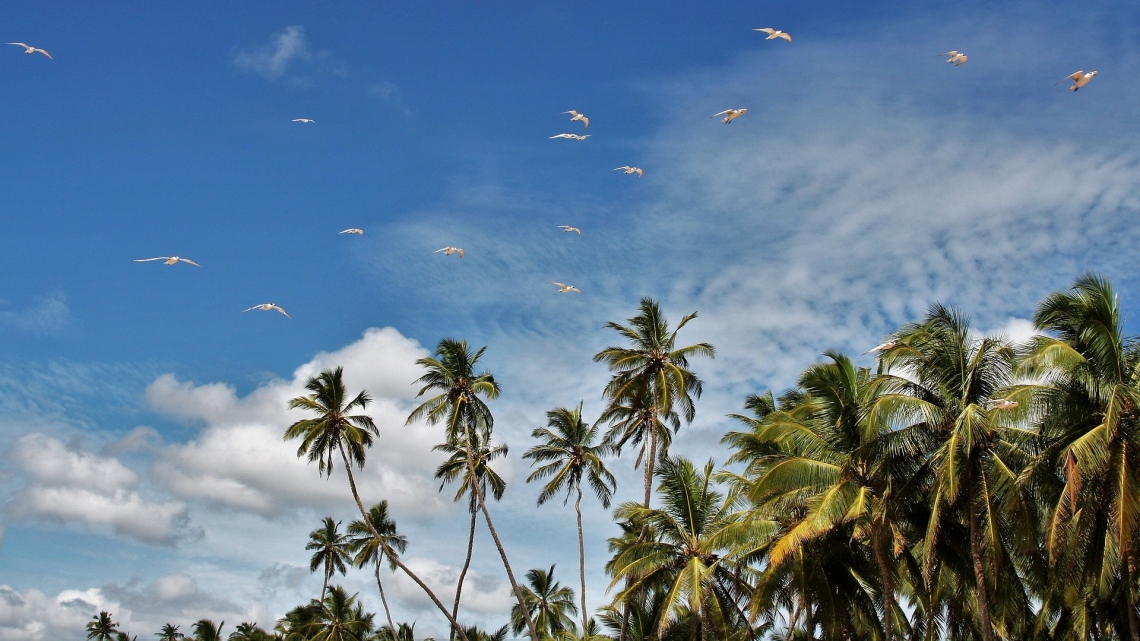 Шрі-Ланка. Пляжний відпочинок (наземне обслуговування)