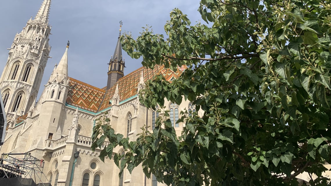 Побачення з Будапештом