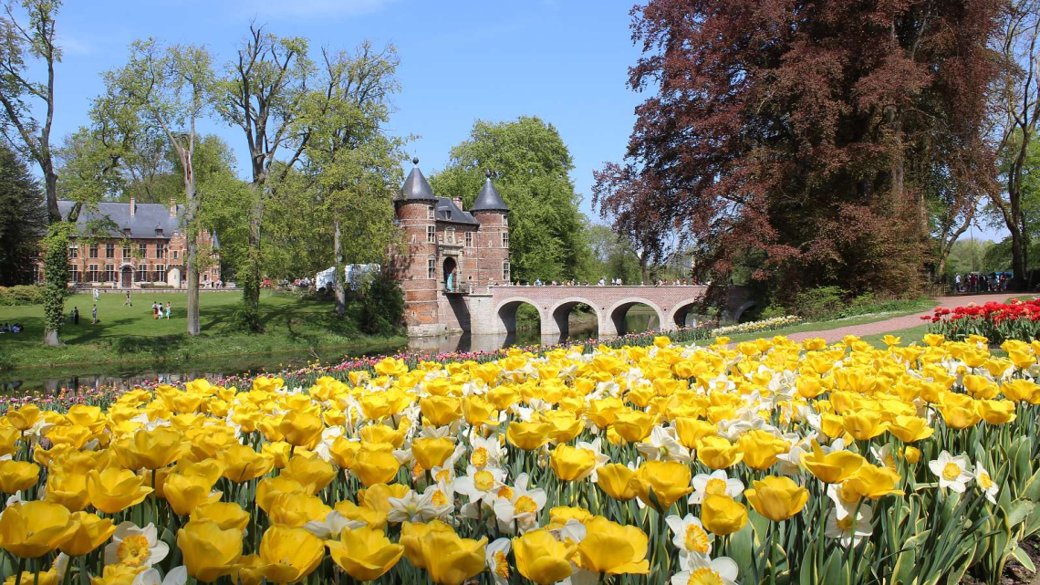 Квітковий дует: Бельгія + Нідерланди. Авіатур