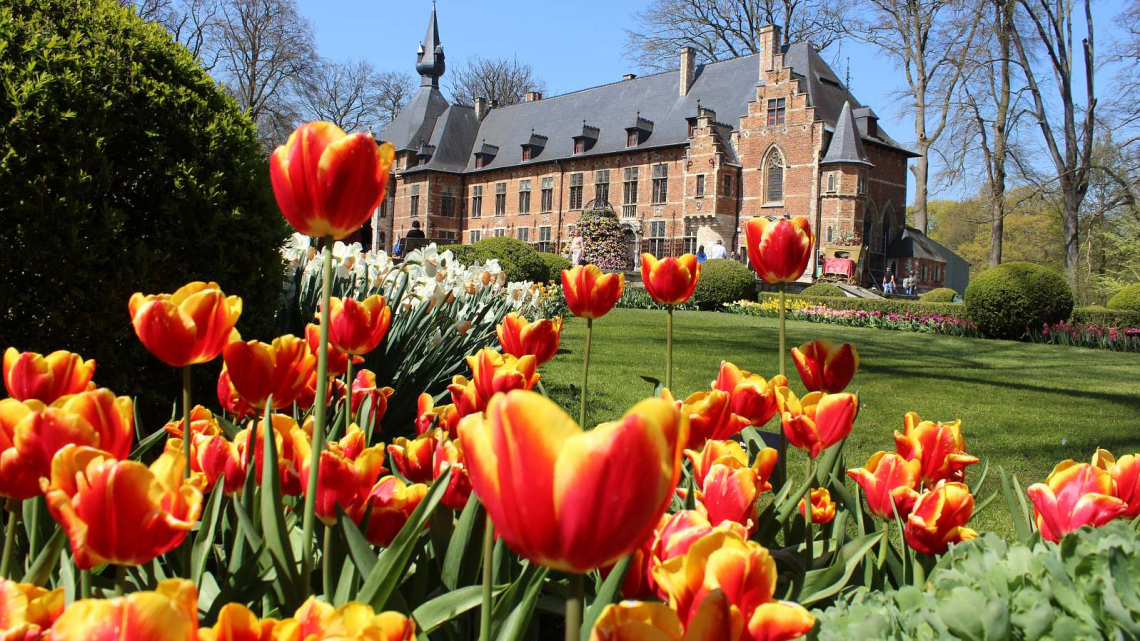 Квітковий дует: Бельгія + Нідерланди. Авіатур