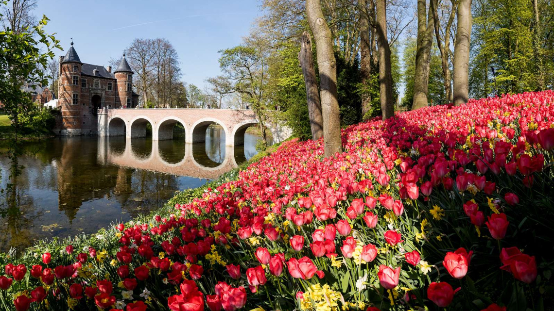 Квітковий дует: Бельгія + Нідерланди. Авіатур