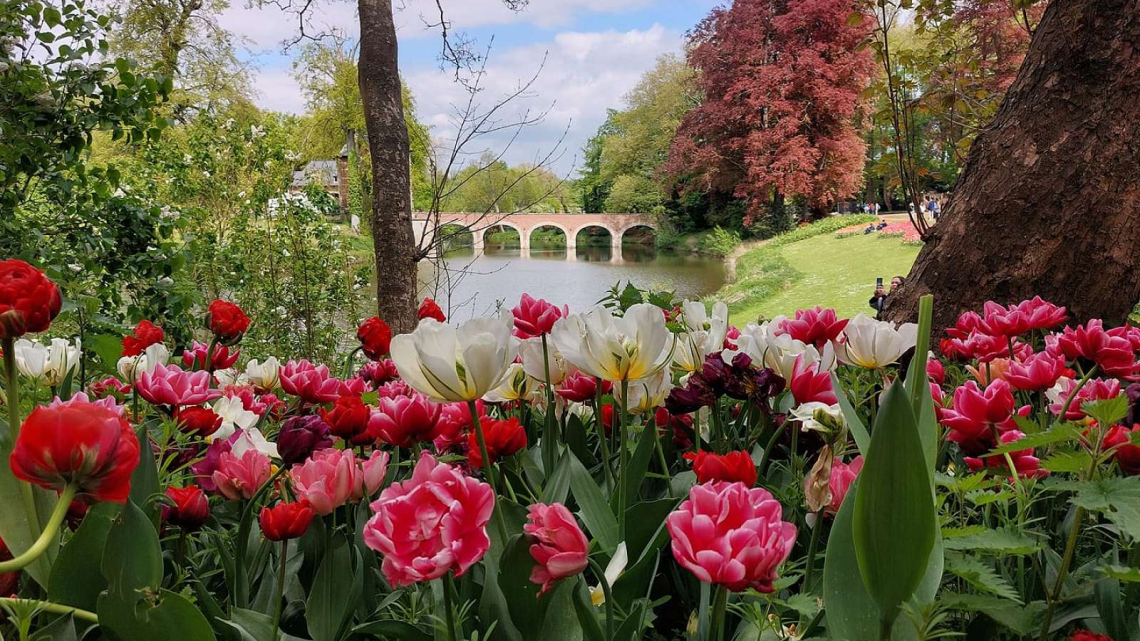 Квітковий дует: Бельгія + Нідерланди. Авіатур