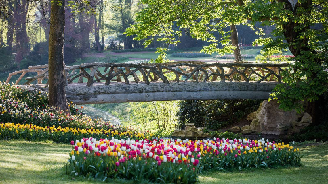 Квітковий дует: Бельгія + Нідерланди. Авіатур