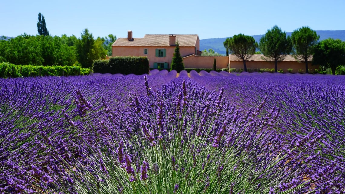 Під сонцем Франції: від Провансу до Парижа. Авіатур