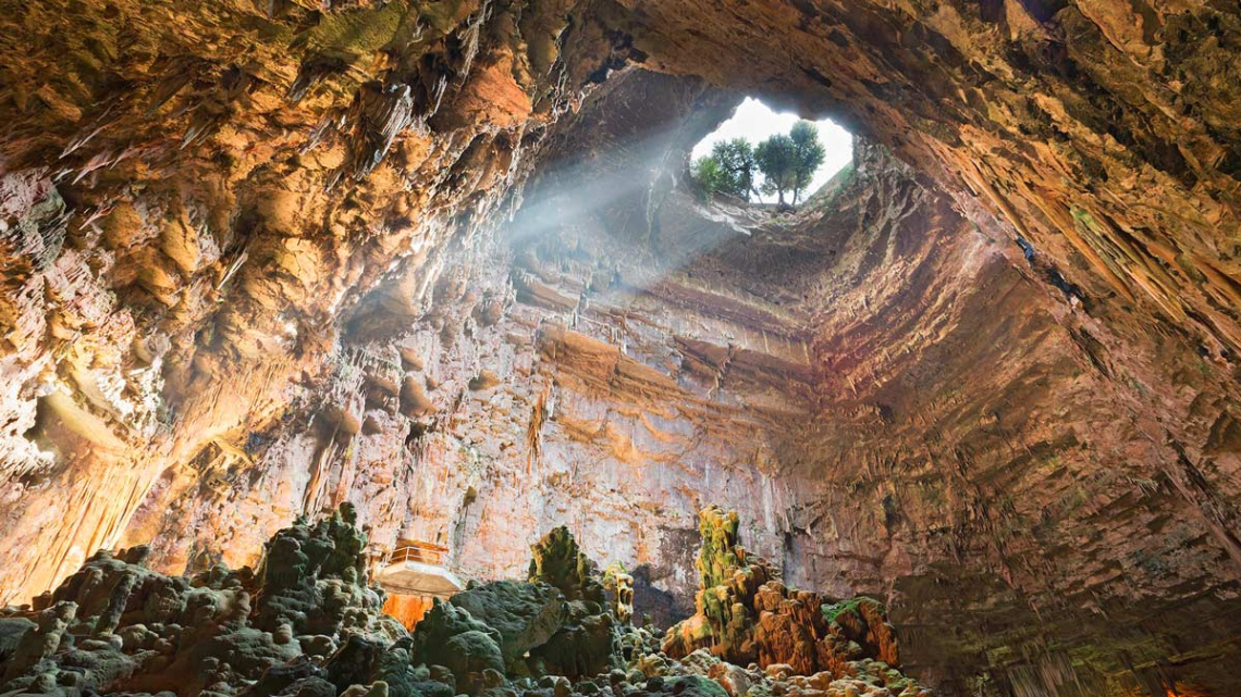 Апулія: стежками оливкових гаїв
