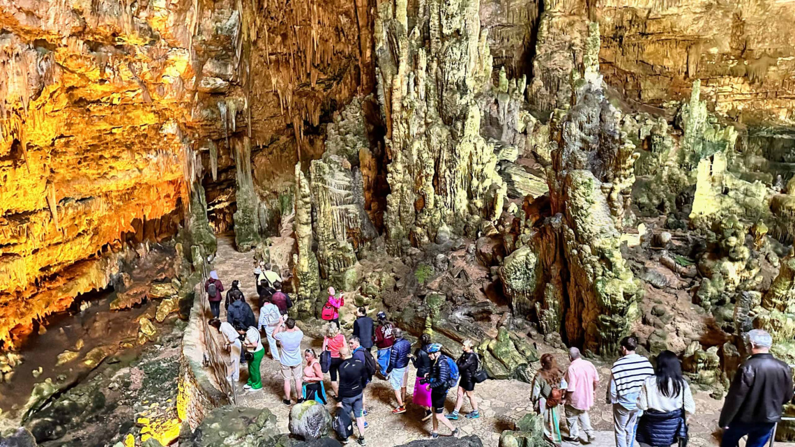 Апулія: стежками оливкових гаїв