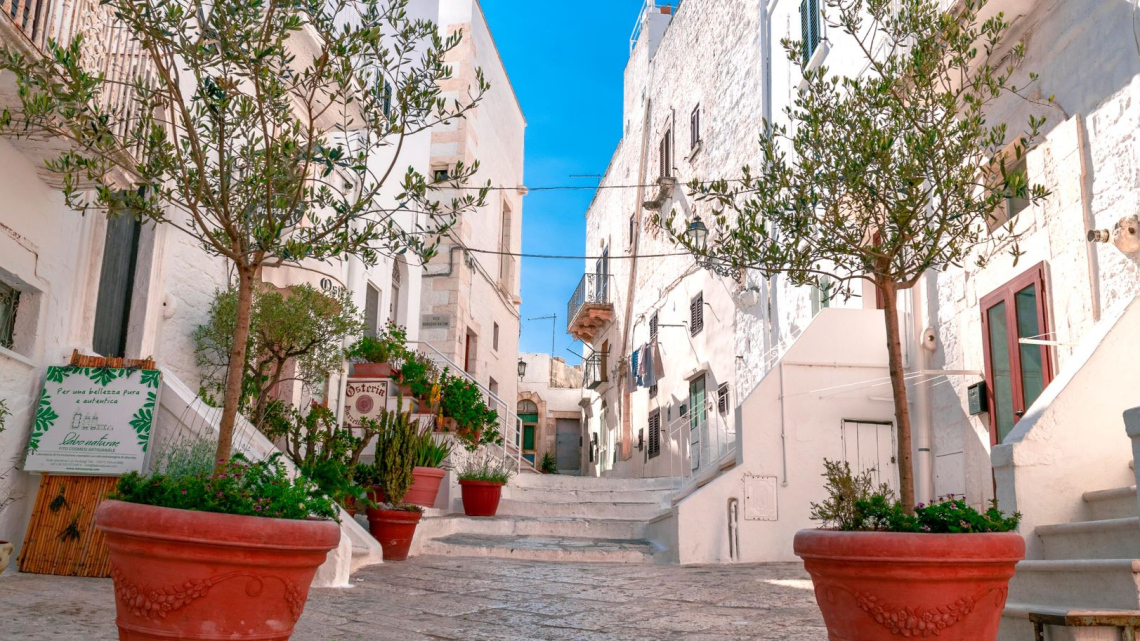 Апулія: стежками оливкових гаїв