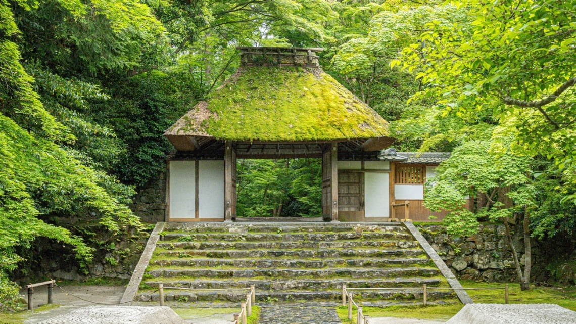 Груповий круїз з Китаю до Японії. Українська група