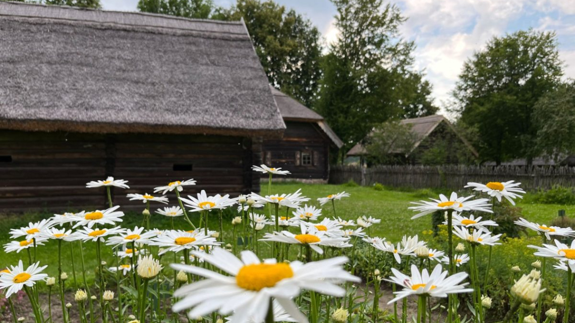 Велике князівство Літовське. Спільна історія