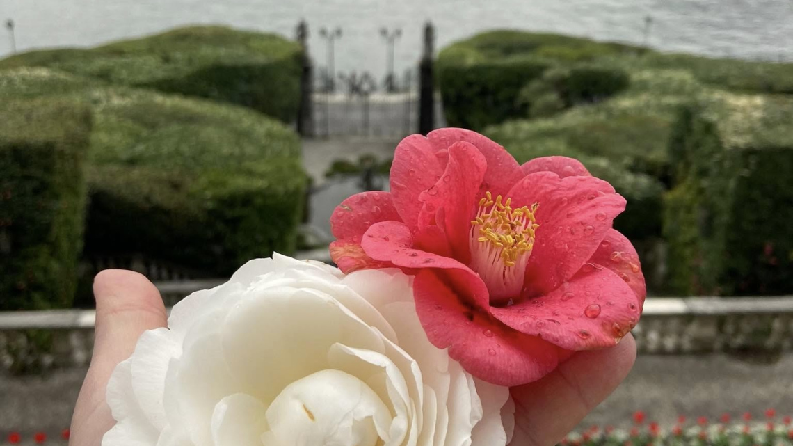 Гарантований тур. Дама з камеліями: озера Італії (8 днів, автобус)