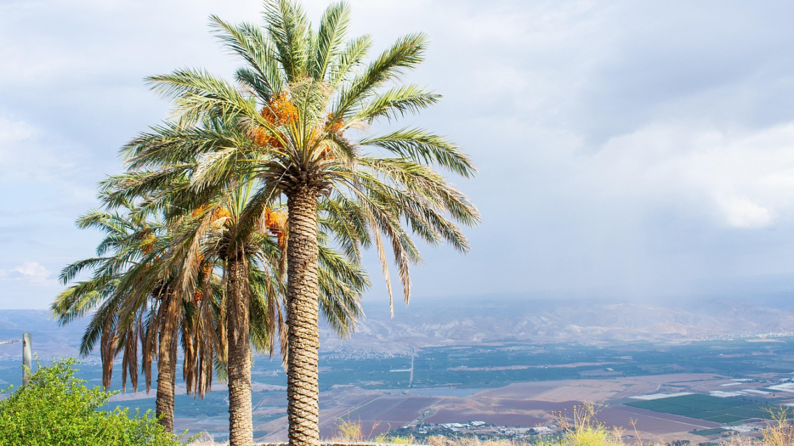 Весь Ізраїль