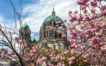 Феерическая весна в Германии