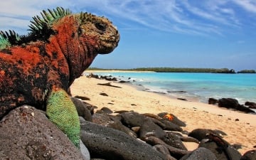 Групповой тур Эквадор + Галапагосские острова "На островах Дарвина"