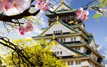 Групповой тур в Японию «Вишня у водопада»