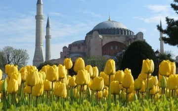 (2021 г.) Новые грани Стамбула. Фестиваль тюльпанов (5 дней)