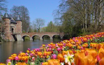 Ланцюжок турів до Нідерландів та Бельгії! Квітковий рай навесні, Велика Голландія, витончена Фландрія