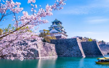 Гарантований тур. Оглядовий тур Японією