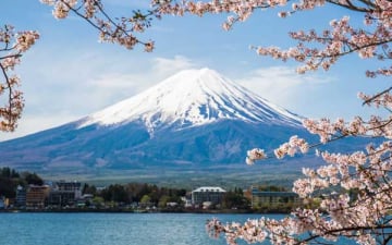Весна-2026: спіймайте дзен під сінню Фудзіями! Раннє бронювання подорожі до Японії