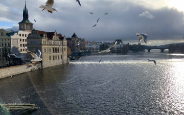 Чеські етюди. Український контекст