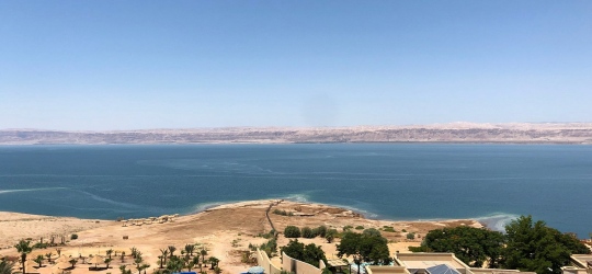 Dead Sea Spa Hotel 4*,  Совайма
