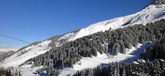 PLEIN SOLEIL N° 518